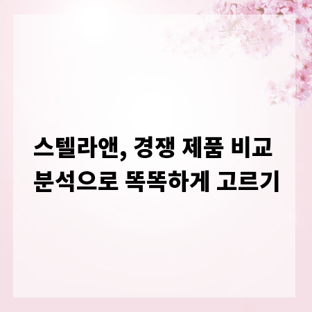 스텔라앤, 경쟁 제품 비교 분석으로 똑똑하게 고르기