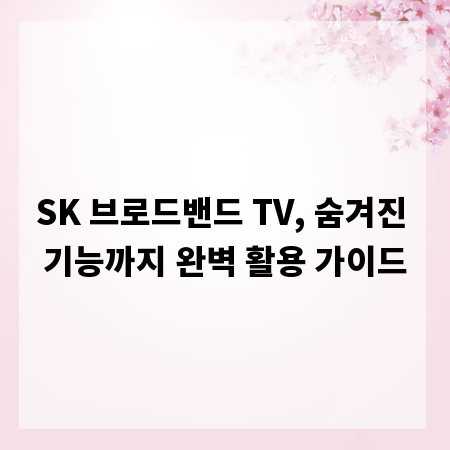 SK 브로드밴드 TV, 숨겨진 기능까지 완벽 활용 가이드