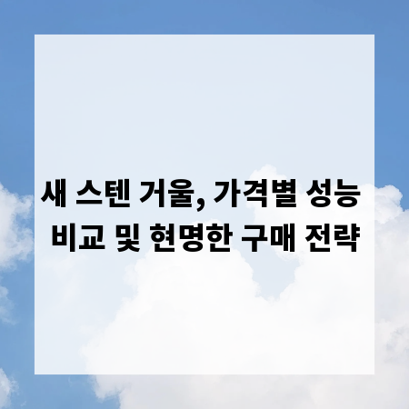 새 스텐 거울, 가격별 성능 비교 및 현명한 구매 전략