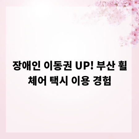장애인 이동권 UP! 부산 휠체어 택시 이용 경험