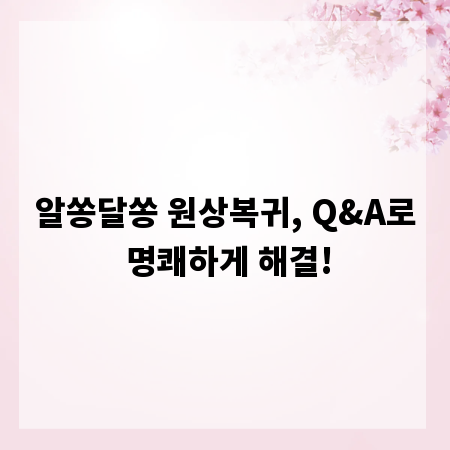 알쏭달쏭 원상복귀, Q&A로 명쾌하게 해결!