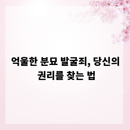 억울한 분묘 발굴죄, 당신의 권리를 찾는 법