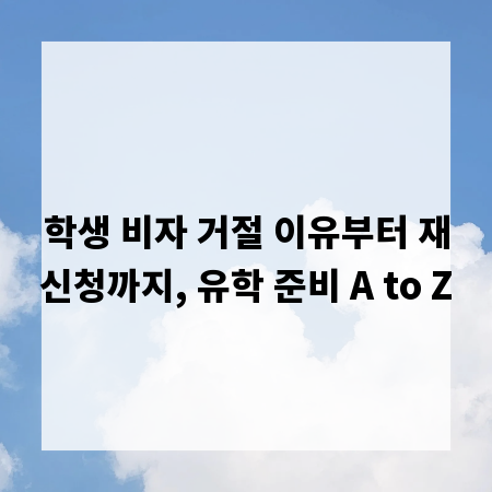 학생 비자 거절 이유부터 재신청까지, 유학 준비 A to Z