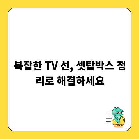 복잡한 TV 선, 셋탑박스 정리로 해결하세요
