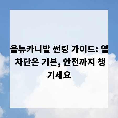 올뉴카니발 썬팅 가이드: 열 차단은 기본, 안전까지 챙기세요