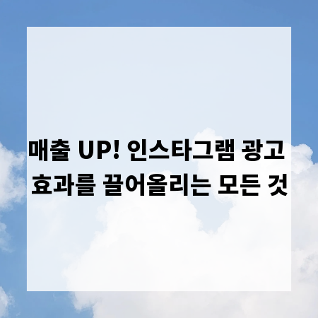 매출 UP! 인스타그램 광고 효과를 끌어올리는 모든 것