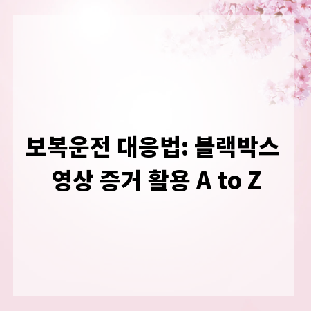 보복운전 대응법: 블랙박스 영상 증거 활용 A to Z