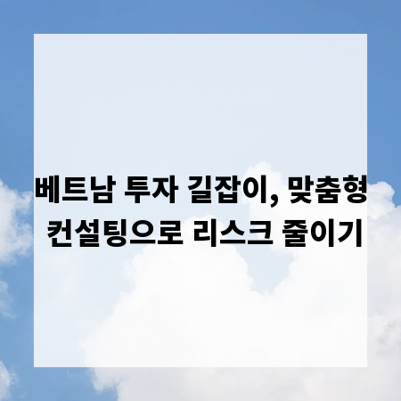 베트남 투자 길잡이, 맞춤형 컨설팅으로 리스크 줄이기