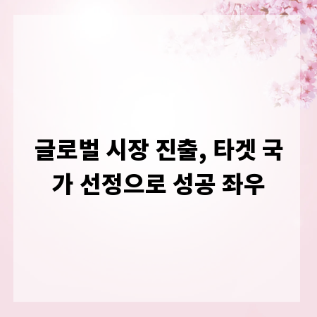 글로벌 시장 진출, 타겟 국가 선정으로 성공 좌우