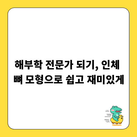 해부학 전문가 되기, 인체 뼈 모형으로 쉽고 재미있게