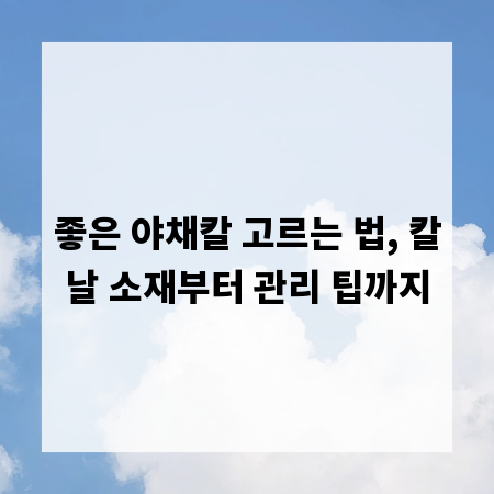 좋은 야채칼 고르는 법, 칼날 소재부터 관리 팁까지