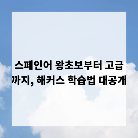 스페인어 왕초보부터 고급까지, 해커스 학습법 대공개