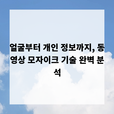 얼굴부터 개인 정보까지, 동영상 모자이크 기술 완벽 분석