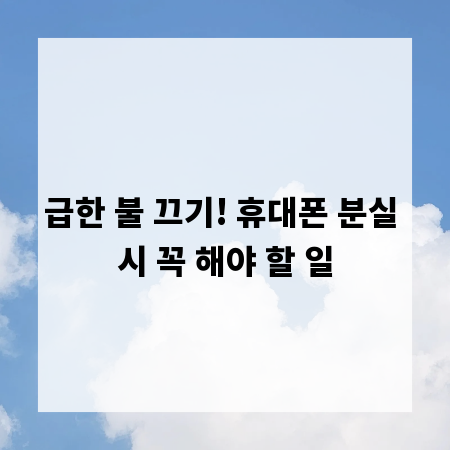 급한 불 끄기! 휴대폰 분실 시 꼭 해야 할 일
