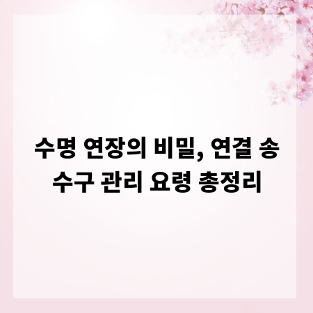 수명 연장의 비밀, 연결 송수구 관리 요령 총정리