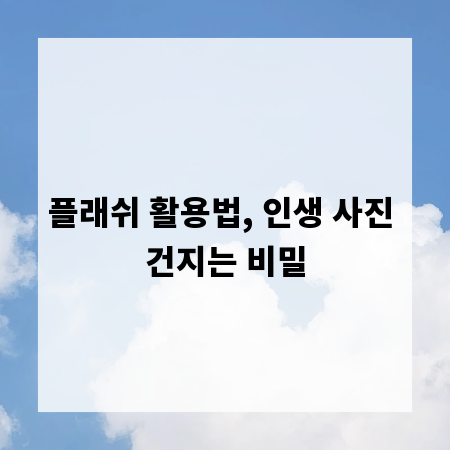 플래쉬 활용법, 인생 사진 건지는 비밀