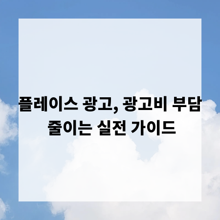 플레이스 광고, 광고비 부담 줄이는 실전 가이드