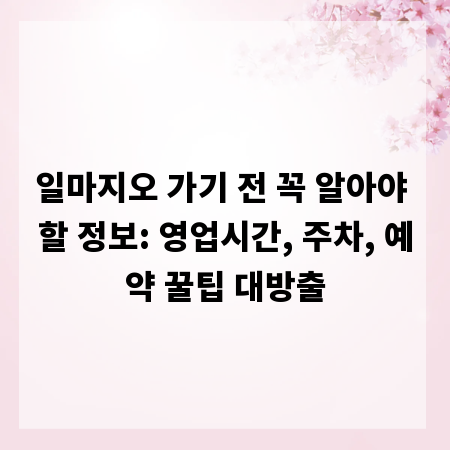 일마지오 가기 전 꼭 알아야 할 정보: 영업시간, 주차, 예약 꿀팁 대방출