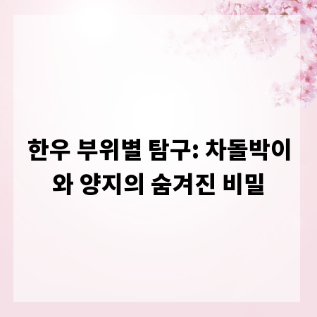 한우 부위별 탐구: 차돌박이와 양지의 숨겨진 비밀