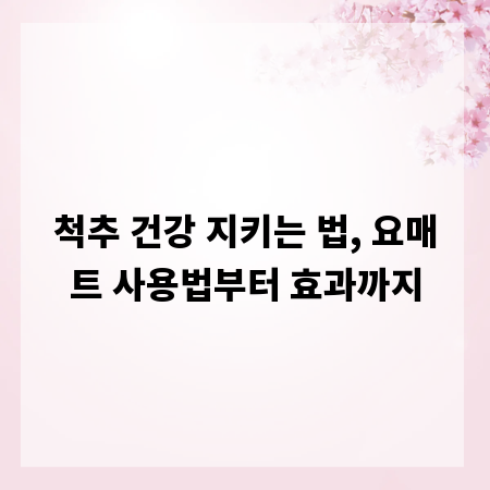 척추 건강 지키는 법, 요매트 사용법부터 효과까지