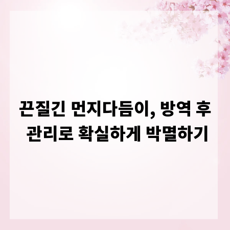 끈질긴 먼지다듬이, 방역 후 관리로 확실하게 박멸하기