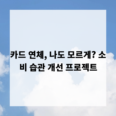 카드 연체, 나도 모르게? 소비 습관 개선 프로젝트