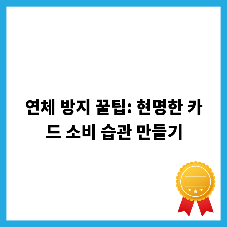 연체 방지 꿀팁: 현명한 카드 소비 습관 만들기
