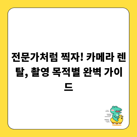 전문가처럼 찍자! 카메라 렌탈, 촬영 목적별 완벽 가이드