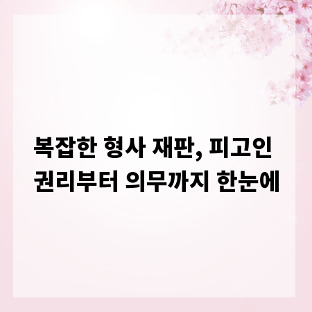 복잡한 형사 재판, 피고인 권리부터 의무까지 한눈에