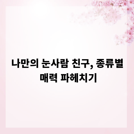 나만의 눈사람 친구, 종류별 매력 파헤치기