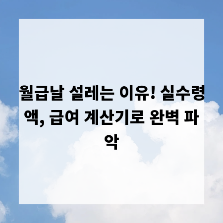 월급날 설레는 이유! 실수령액, 급여 계산기로 완벽 파악