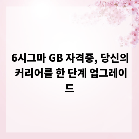 6시그마 GB 자격증, 당신의 커리어를 한 단계 업그레이드