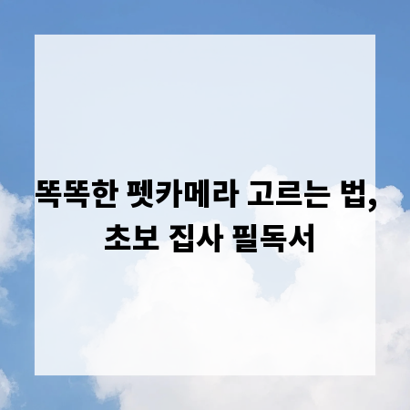 똑똑한 펫카메라 고르는 법, 초보 집사 필독서
