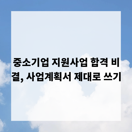 중소기업 지원사업 합격 비결, 사업계획서 제대로 쓰기