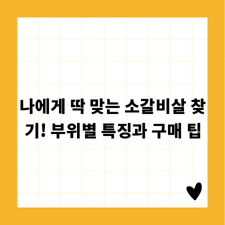 나에게 딱 맞는 소갈비살 찾기! 부위별 특징과 구매 팁