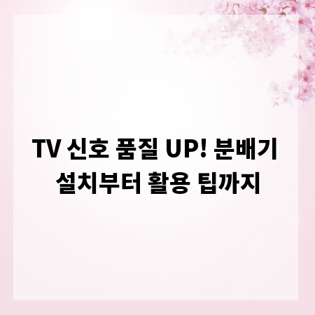 TV 신호 품질 UP! 분배기 설치부터 활용 팁까지