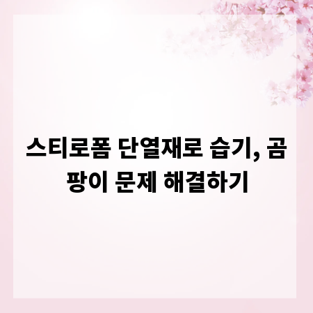 스티로폼 단열재로 습기, 곰팡이 문제 해결하기