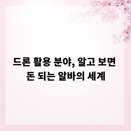 드론 활용 분야, 알고 보면 돈 되는 알바의 세계
