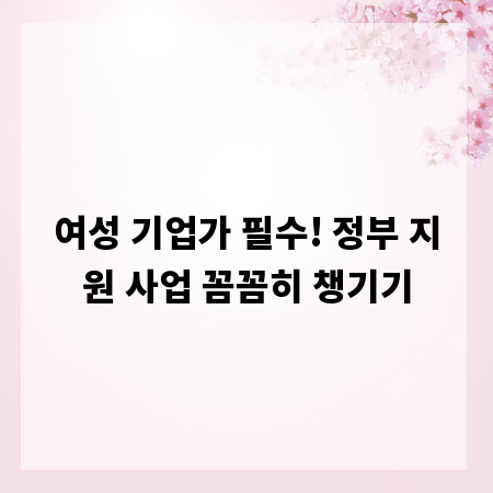 여성 기업가 필수! 정부 지원 사업 꼼꼼히 챙기기