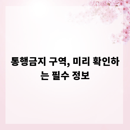 통행금지 구역, 미리 확인하는 필수 정보