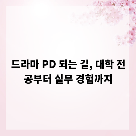 드라마 PD 되는 길, 대학 전공부터 실무 경험까지