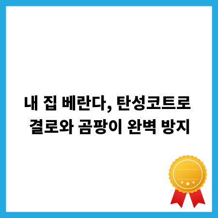 내 집 베란다, 탄성코트로 결로와 곰팡이 완벽 방지