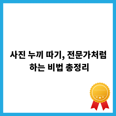 사진 누끼 따기, 전문가처럼 하는 비법 총정리