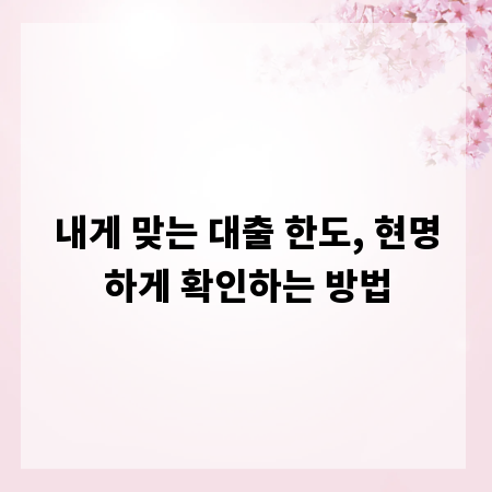 내게 맞는 대출 한도, 현명하게 확인하는 방법