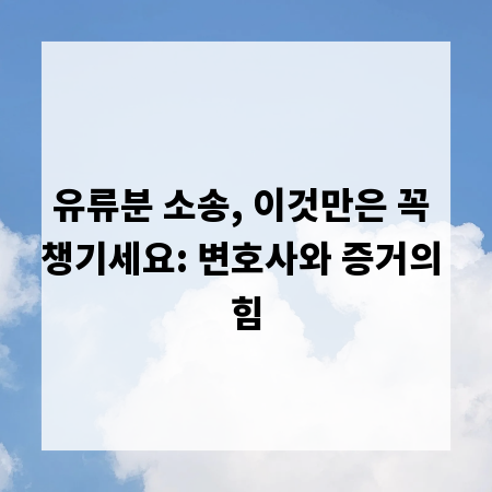 유류분 소송, 이것만은 꼭 챙기세요: 변호사와 증거의 힘