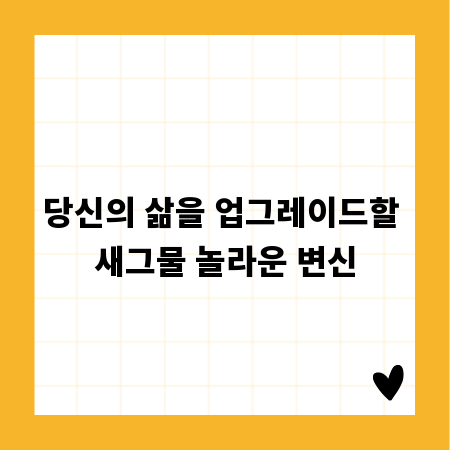 당신의 삶을 업그레이드할 새그물 놀라운 변신