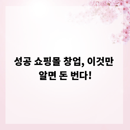 성공 쇼핑몰 창업, 이것만 알면 돈 번다!