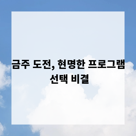 금주 도전, 현명한 프로그램 선택 비결