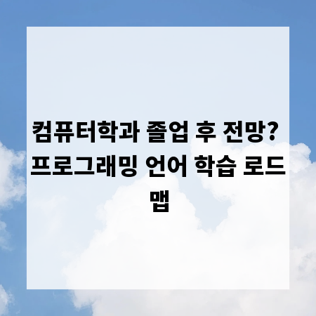 컴퓨터학과 졸업 후 전망? 프로그래밍 언어 학습 로드맵