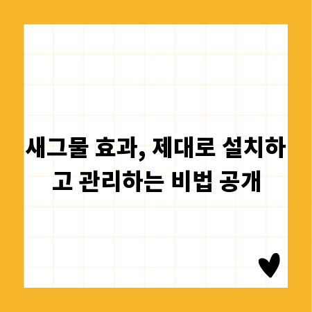 새그물 효과, 제대로 설치하고 관리하는 비법 공개